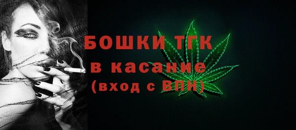 соль ск Алексин