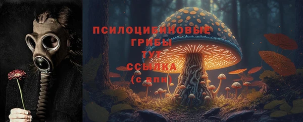 прущие крисы Алзамай