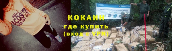 соль ск Алексин
