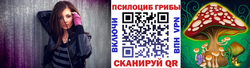 купить наркотик  Завитинск  МЕГА ссылка  Псилоцибиновые грибы Psilocybe 